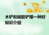 木鏟和硅膠鏟哪一種好知識介紹
