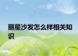 麗星沙發(fā)怎么樣相關(guān)知識