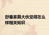 舒曼家具大伙覺(jué)得怎么樣相關(guān)知識(shí)