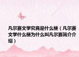 凡爾賽文學究竟是什么梗（凡爾賽文學什么梗為什么叫凡爾賽簡介介紹）
