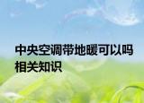 中央空調(diào)帶地暖可以嗎相關(guān)知識(shí)