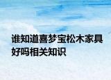 誰(shuí)知道喜夢(mèng)寶松木家具好嗎相關(guān)知識(shí)